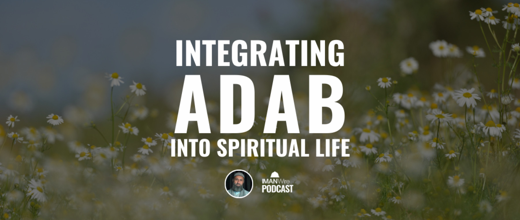 Integrating Adab WEB